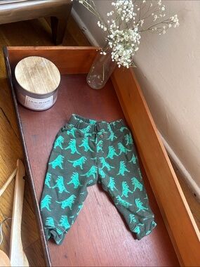 Gymboree Green Pajama Pants with Mint Dinosaur Print 6-12 months